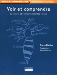 Voir et comprendre