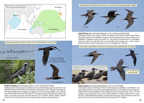 Guide photo des oiseaux marins du monde