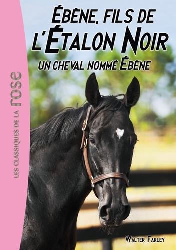 Steven Farley - L'Etalon Noir Tome  22 : Un cheval nommé Ebène.
