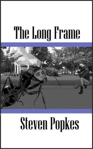 The Long Frame