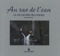 Au ras de l'eau