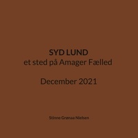Stinne Grønaa Nielsen - Syd Lund - et sted på Amager Fælled December 2021.