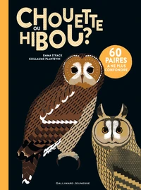 Chouette ou hibou ?