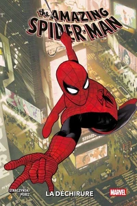 Amazing Spider-Man : La déchirure