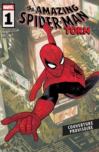Amazing Spider-Man Torn
