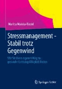 Stressmanagement - Stabil trotz Gegenwind - Wie Sie Ihren eigenen Weg zu gesunder Leistungsfähigkeit finden.