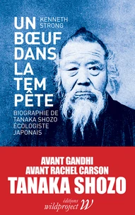 Un boeuf dans la tempête