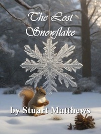  STUART MATTHEWS - The Lost Snowflake.