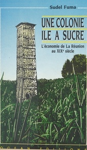 Sudel Fuma - Une colonie île à sucre : l'économie de La Réunion au XIXe siècle.
