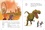 Charlie and the dinosaurs  avec 1 CD audio