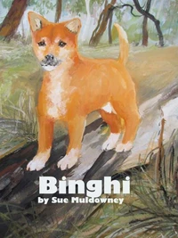 Binghi