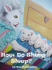 How Do Sheep Sleep ?