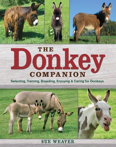 The Donkey Companion. Selecting, Training, Breeding, Enjoying &amp; Caring for Donkeys