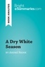 Summaries Bright - BrightSummaries.com  : A Dry White Season by André Brink (Book Analysis) - Detailed Summary, Analysis and Reading Guide.