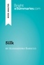 Summaries Bright - BrightSummaries.com  : Silk by Alessandro Baricco (Book Analysis) - Detailed Summary, Analysis and Reading Guide.
