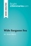 BrightSummaries.com  Wide Sargasso Sea by Jean Rhys (Book Analysis). Detailed Summary, Analysis and Reading Guide