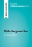 Summaries Bright - BrightSummaries.com  : Wide Sargasso Sea by Jean Rhys (Book Analysis) - Detailed Summary, Analysis and Reading Guide.
