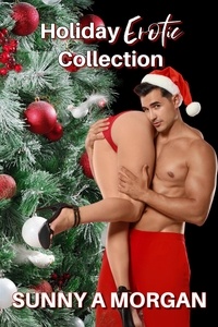  Sunny A Morgan - Holiday  Erotica Collection.