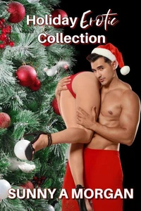 Holiday  Erotica Collection