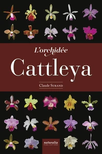 L'orchidée Cattleya