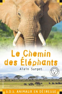 Le chemin des élephants