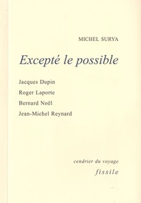 Excepté le possible