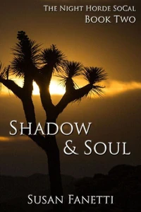Shadow &amp; Soul