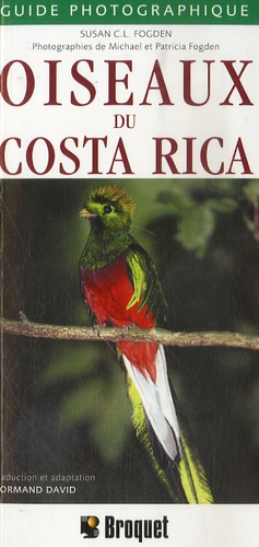 Susan Fogden - Oiseaux du Costa Rica.