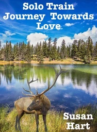 Solo Train Journey Towards Love