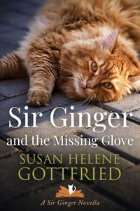 Sir Ginger and the Missing Glove
