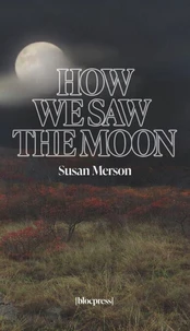 How We Saw the Moon