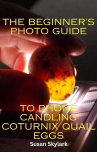 The Beginner's Photo Guide to Phone Candling Coturnix Quail Eggs