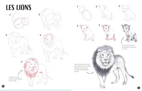 J’apprends à dessiner les animaux 2e édition
