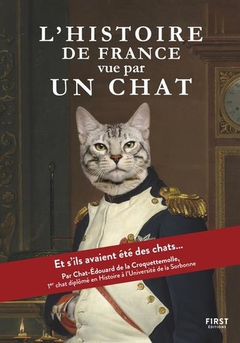 L'histoire de France vue par un chat - Occasion
