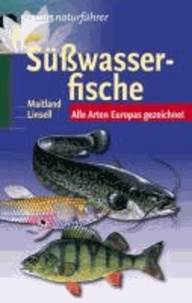 Süßwasserfische - Alle Arten Europas gezeichnet.