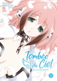 Tombée du ciel Tome 1