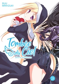 Tombée du ciel Tome 18