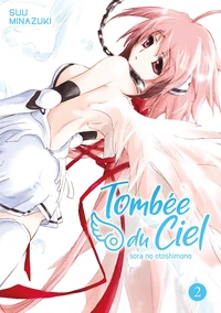 Tombée du ciel Tome 2