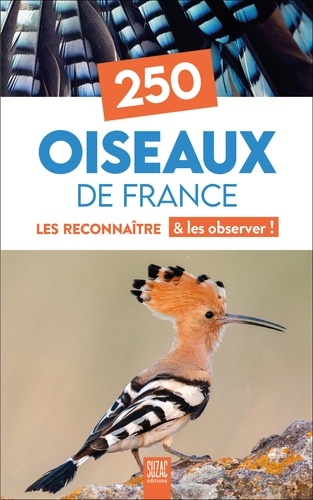 250 Oiseaux de France. Les reconnaître & les observer !