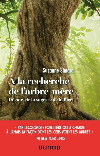 A la recherche de l'arbre-mère. Découvrir la sagesse de la forêt