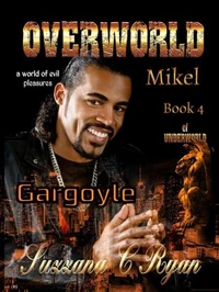 Overworld, Mikel