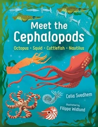 Meet the Cephalopods