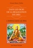 Swami Rama Tirtha et Swami Rama Tirtha - L'infini dans le fini - Dans les bois de la Réalisation de Dieu.