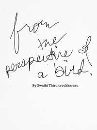 From the Perspective of a Bird