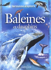 Baleines Et Dauphins