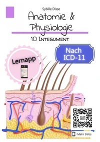 Anatomie &amp; Physiologie Band 10: Integument