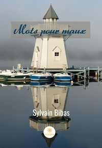 Sylvain Bibas - Mots pour maux.