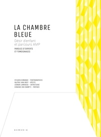 Sylvain Demange et Léonor Lumineau - La Chambre bleue - Désir d’enfant et parcours AMP - Paroles d'expert et témoignages.