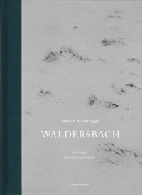 Sylvain Maestraggi - Waldersbach.