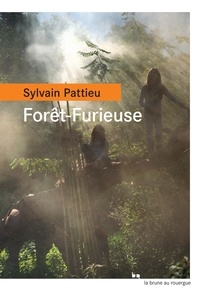 Sylvain Pattieu - Forêt-Furieuse.